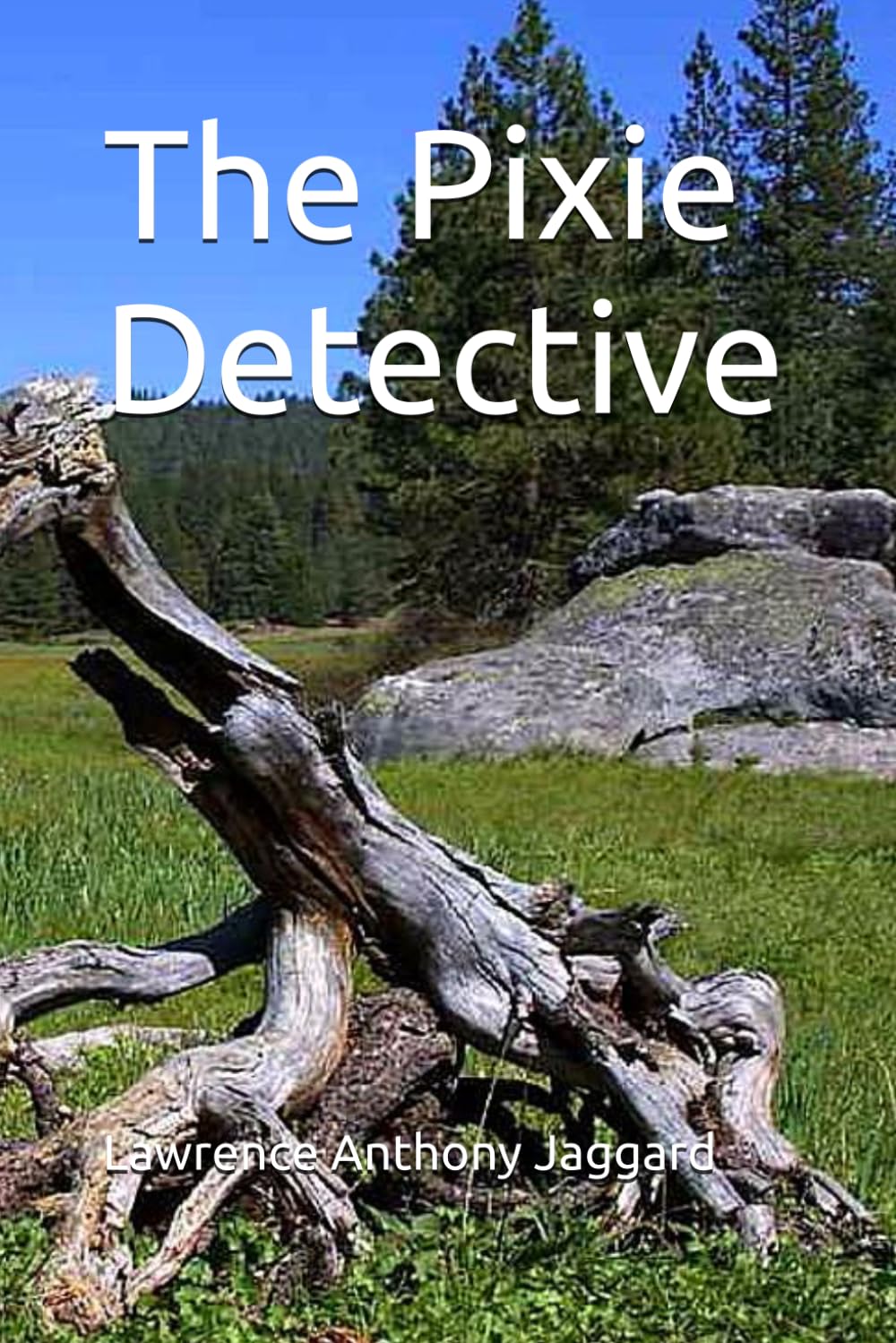 Pixie Detective